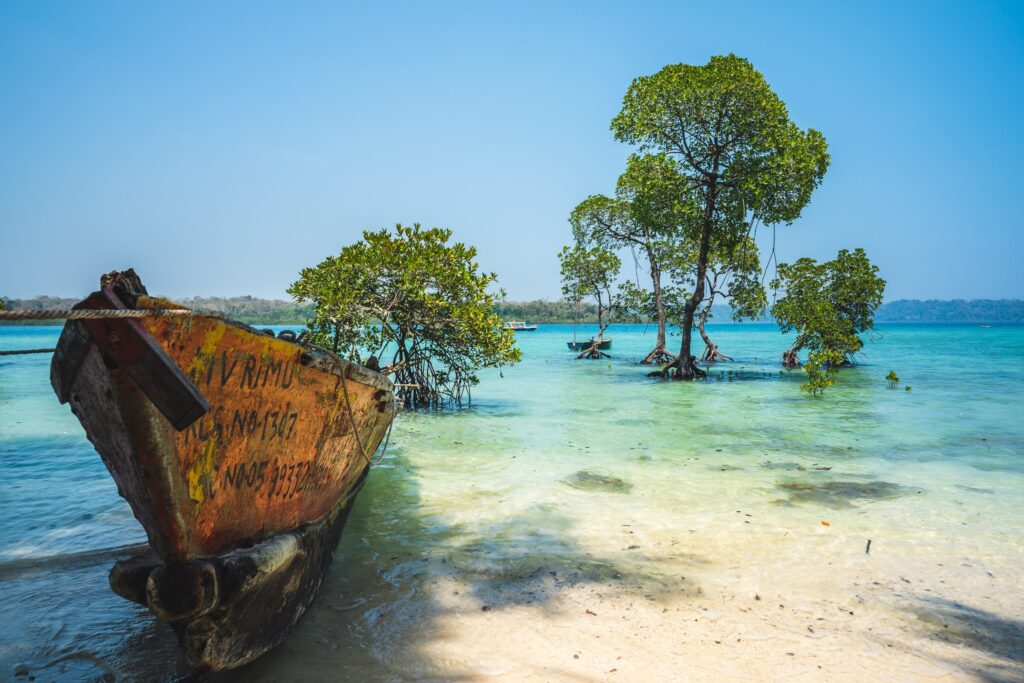 andaman and nicobar islands tour packages